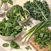 ����� �������� ��������� ������� ��������
