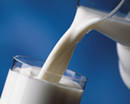 Молоко поможет похудеть
