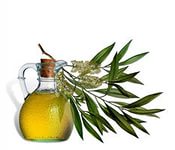 Оливковое масло защищает сердце лучше всех