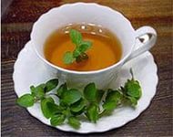 На основе зеленого чая создадут лекарство от рака