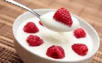 Полезны ли йогурты для здоровья?