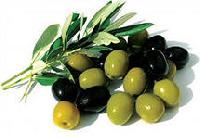 Оливки или маслины?