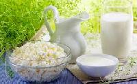 Молочные продукты признаны эффективными против ожирения