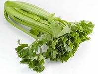 «Молодильный овощ». Какие витамины содержит сельдерей?