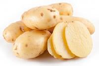 Ученые признали картошку диетическим продуктом