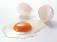 Яйца спасут человечество от ожирения-ученые