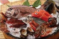 Определены полезные для организма сорта рыбы