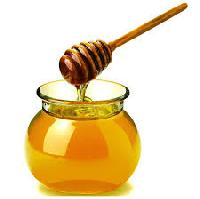 Как улучшится состояние организма, если регулярно есть мед