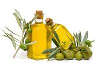 Оливковое масло: целебный дар богов
