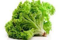 Польза зеленых листовых овощей
