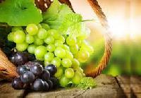 Названы лечебные свойства винограда