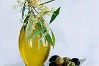 Оливковое масло поможет справиться с панкреатитом