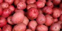 Какой картофель уменьшает риск развития гипертонии